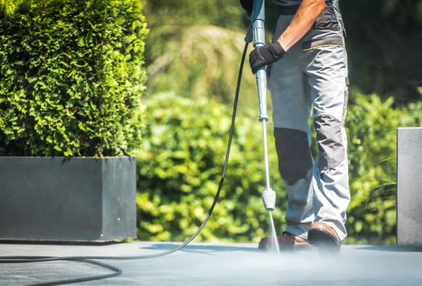 Best Sidewalk and Walkway Cleaning  in Olney, IL