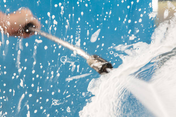 Best Animal Enclosure Cleaning  in Olney, IL