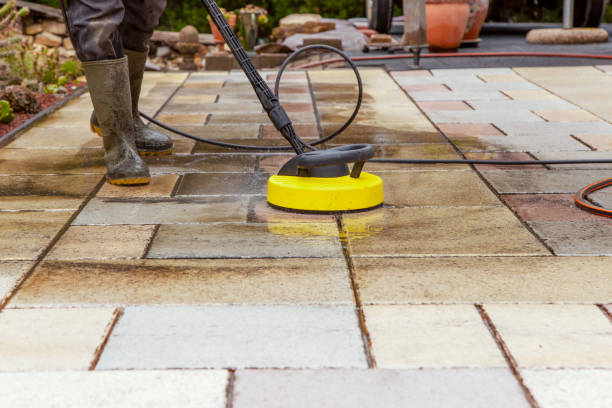Best Roof Washing  in Olney, IL